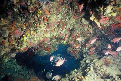 el-cap-de-creus-submarinisme