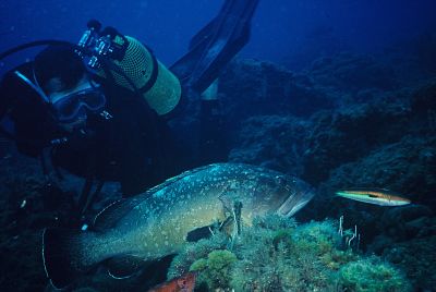 el-cap-de-creus-submarinisme01
