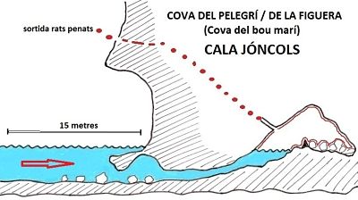 Cova Bou Mari - Cala Joncols