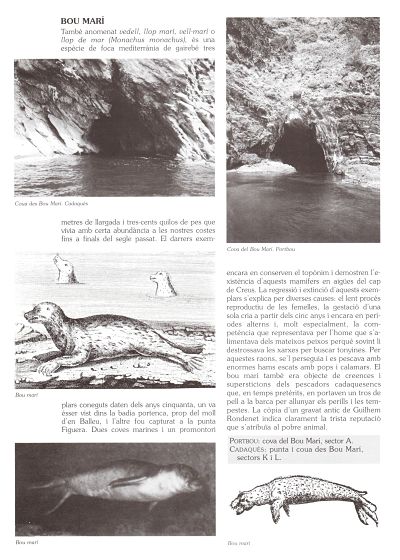 Textos bou marí